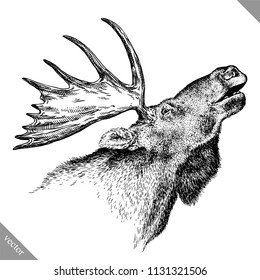 black and white engrave isolated elk hand draw vector illustration