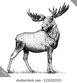 black and white engrave isolated elk hand draw vector illustration