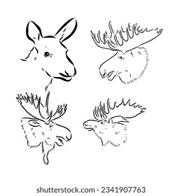 black and white engrave isolated elk hand draw vector illustration
