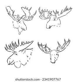 black and white engrave isolated elk hand draw vector illustration