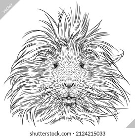 black and white engrave isolated guinea pig vector illustration