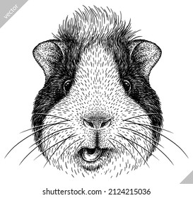black and white engrave isolated guinea pig vector illustration