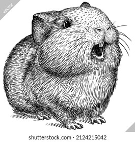 black and white engrave isolated guinea pig vector illustration