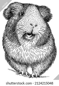 black and white engrave isolated guinea pig vector illustration