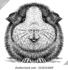 black and white engrave isolated guinea pig vector illustration