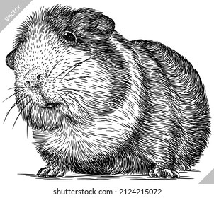 black and white engrave isolated guinea pig vector illustration