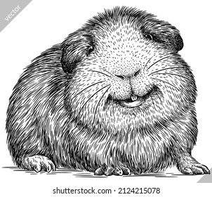 black and white engrave isolated guinea pig vector illustration