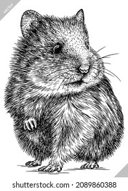 black and white engrave isolated hamster vector illustration