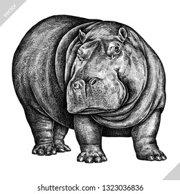 black and white engrave isolated hippo vector illustration