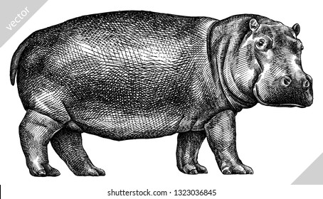 black and white engrave isolated hippo vector illustration