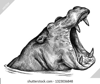 black and white engrave isolated hippo vector illustration