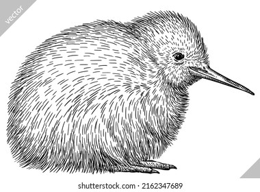 black and white engrave isolated Kiwi bird vector illustration