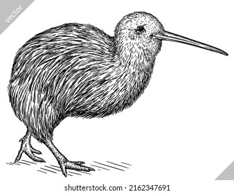 black and white engrave isolated Kiwi bird vector illustration