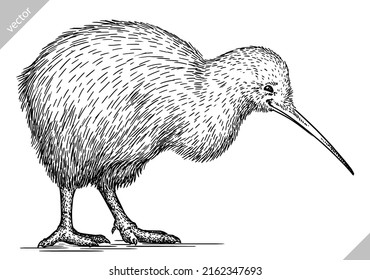 black and white engrave isolated Kiwi bird vector illustration