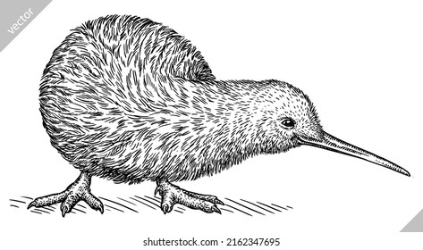 black and white engrave isolated Kiwi bird vector illustration
