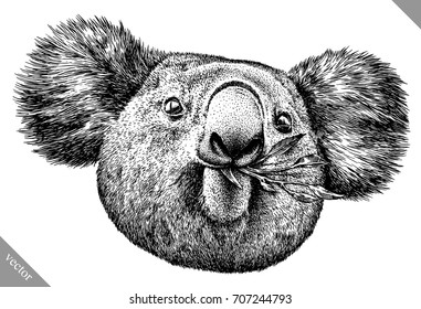 black and white engrave isolated Koala vector illustration