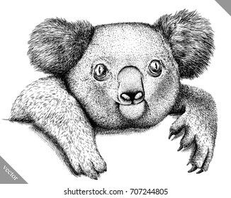 black and white engrave isolated Koala vector illustration