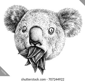 black and white engrave isolated Koala vector illustration