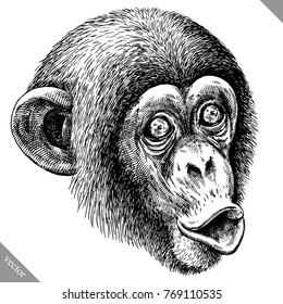 black and white engrave isolated monkey vector illustration