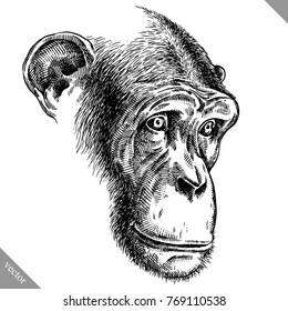 black and white engrave isolated monkey vector illustration