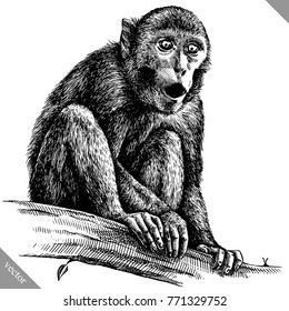 black and white engrave isolated monkey vector illustration