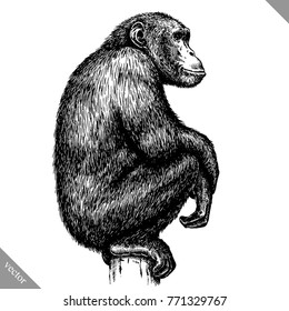 Black And White Engrave Isolated Monkey Vector Illustration