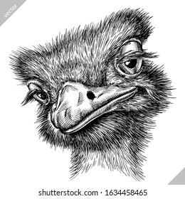 black and white engrave isolated ostrich vector illustration