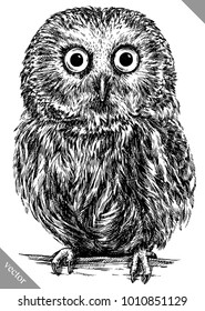 black and white engrave isolated owl vector illustration