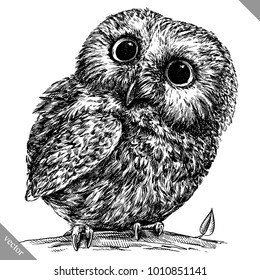 black and white engrave isolated owl vector illustration