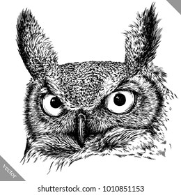 black and white engrave isolated owl vector illustration