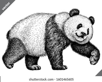 black and white engrave isolated panda vector illustration