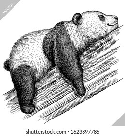 black and white engrave isolated panda vector illustration