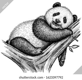 black and white engrave isolated panda vector illustration