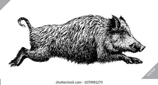 black and white engrave isolated pig vector illustration - Shutterstock ID 1070981273