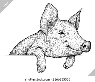 black and white engrave isolated pig vector illustration