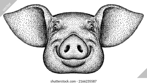 black and white engrave isolated pig vector illustration