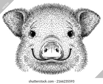 black and white engrave isolated pig vector illustration