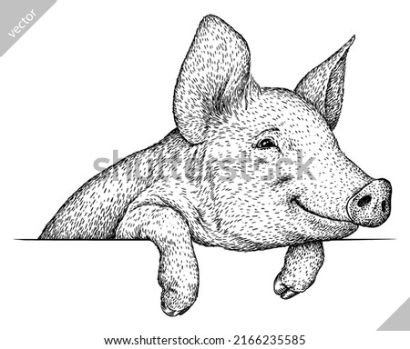 black and white engrave isolated pig vector illustration