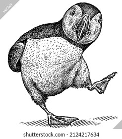 black and white engrave isolated puffin vector illustration