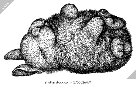 black and white engrave isolated rabbit vector illustration