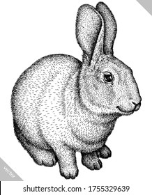 black and white engrave isolated rabbit vector illustration