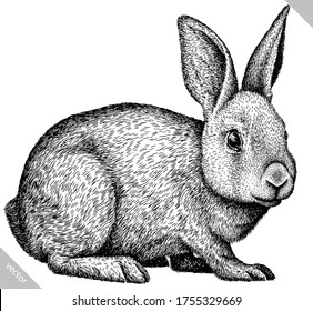 black and white engrave isolated rabbit vector illustration