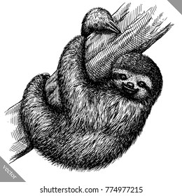 black and white engrave isolated sloth vector illustration