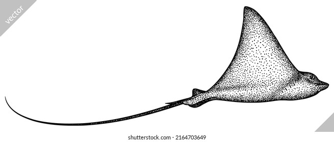 black and white engrave isolated stingray vector illustration