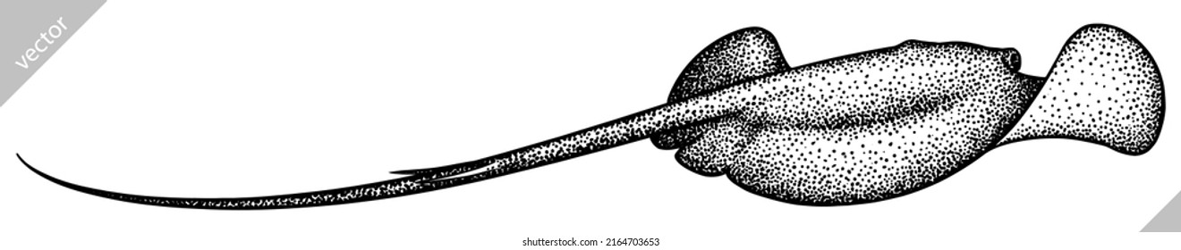 black and white engrave isolated stingray vector illustration