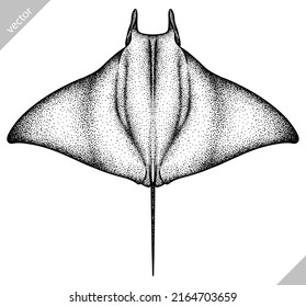 black and white engrave isolated stingray vector illustration