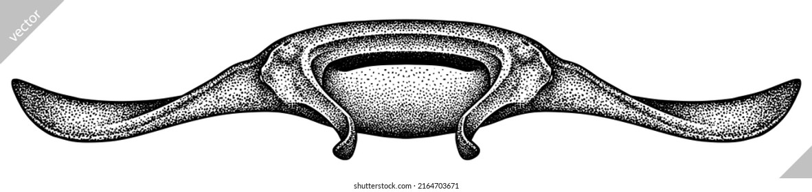 black and white engrave isolated stingray vector illustration