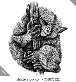black and white engrave isolated tarsier vector illustration