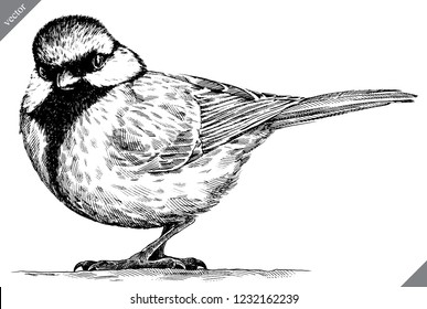 black and white engrave isolated tit vector illustration
