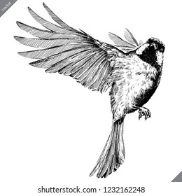 black and white engrave isolated tit vector illustration
